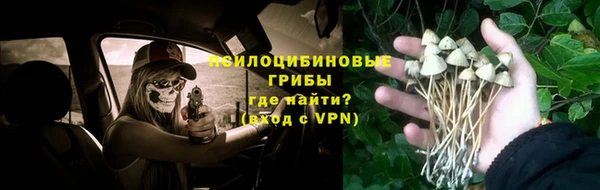 прущие грибы Алексеевка