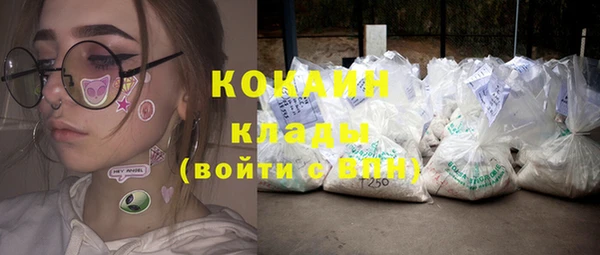 стафф Алзамай
