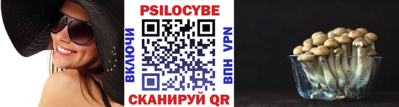 Галлюциногенные грибы Psilocybe  гидра tor  Советский 