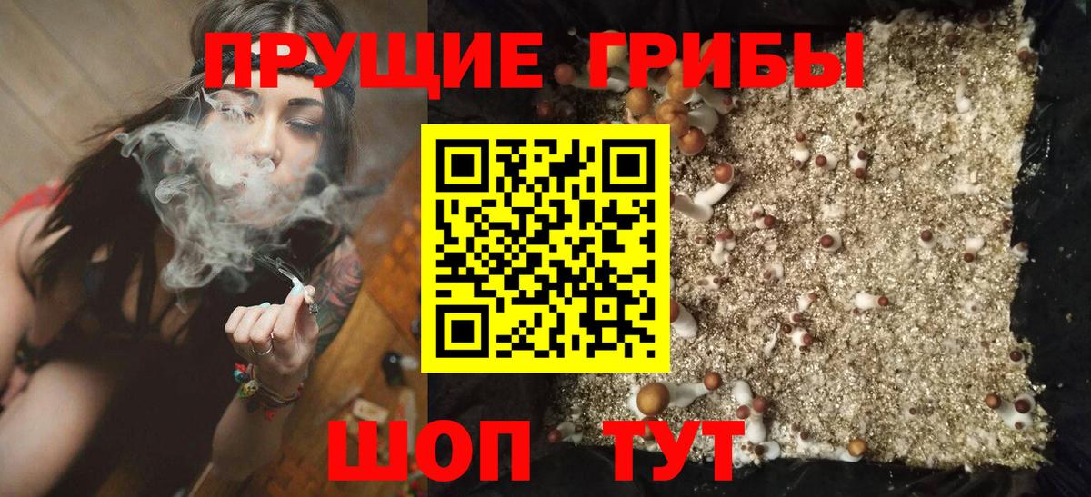 Псилоцибиновые грибы прущие грибы  Вход с VPN  Советский  Галлюциногенные грибы Cubensis 