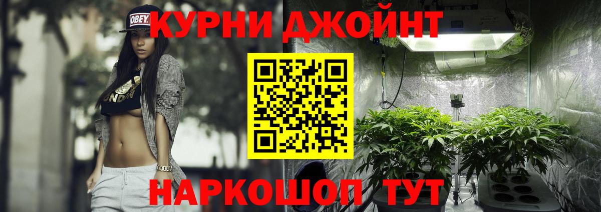 Канабис планчик Советский